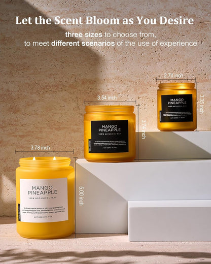 M&SENSE Mango Pineapple Scented Candle, 19.4oz Non Toxic Natural Soy Wax 110 Hours Long Lasting
