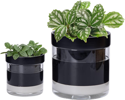 Phoenix Vine 6 Inch 4 Inch Self Watering Terracotta Planter, Black Terracotta Clay Pot with Glass