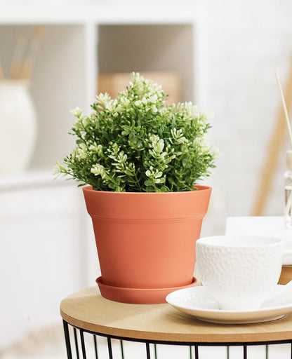 homenote Pots for Plants, 15 Pack 6 Inch Plastic Planters with Multiple Drainage Holes and Tray