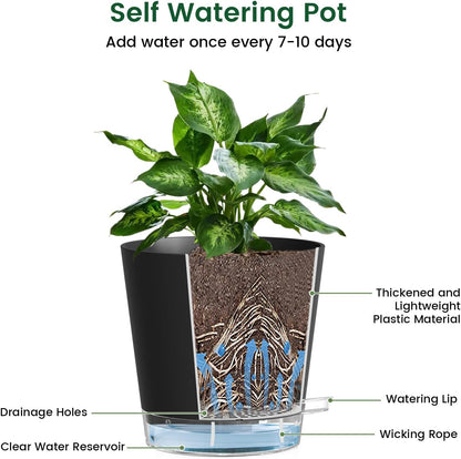 6 inch Self Watering Pots for Indoor Outdoor Plants, 3 Pack Flower Plant Pots with Drainage Holes