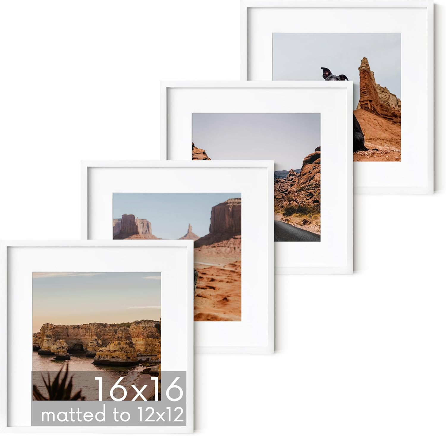 HAUS AND HUES 16x16 White Metal Picture Frames Matted to 12x12 - Features Premium Aluminum &
