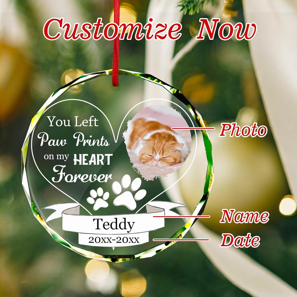 Personalized Memorial Pet Glass Ornament - Custom Picture Christmas Ornaments, Dog Forever in Our