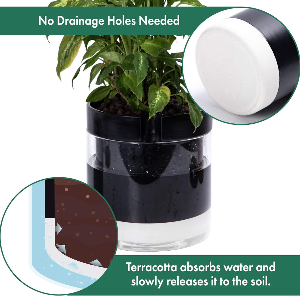 Phoenix Vine 10 Inch Self Watering Terracotta Planter, Black Terracotta Clay Pot with Glass