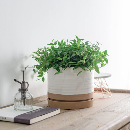 8 Inch Pots for Plants, Ceramic Planter Pot with Drainage Hole & Saucer, Indoor or Outdoor Cylinder