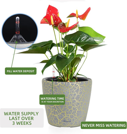 Dexceder 9x8 Inches Self Watering Planter Indoor Outdoor, Inner Pot Design, Thickened Table Flower