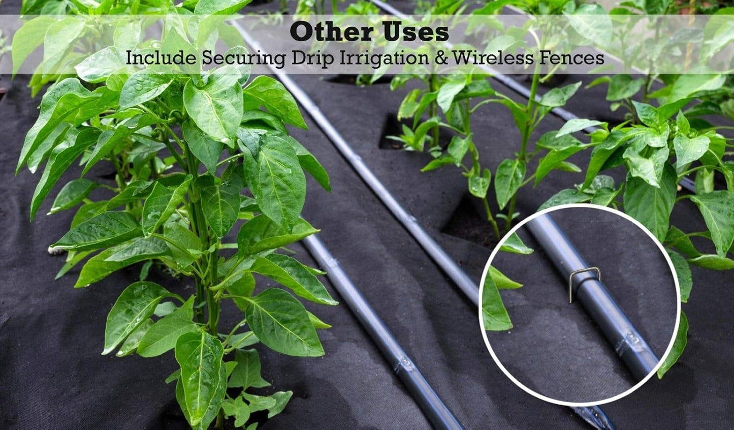 Sandbaggy 6 inch Landscape Sod Staples (9 Gauge Steel) ~ Great for Hard Soil - 20% Thicker Than