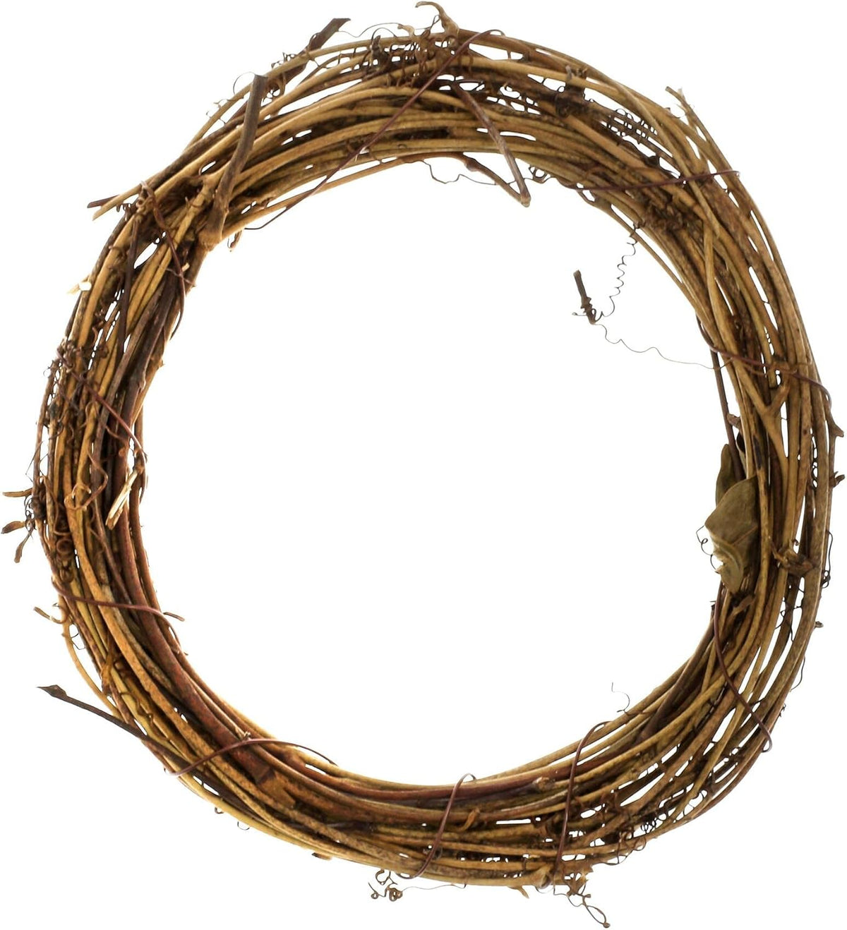 6" Natural Grapevine Wreath by Ashland - Ready-to-Decorate Rustic Home Decor for Weddings