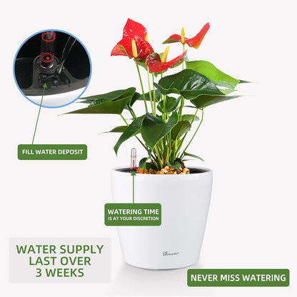 Dexceder 9x8 Inches High Gloss Self Watering Planter Indoor Outdoor, Inner Pot Design, Thickened