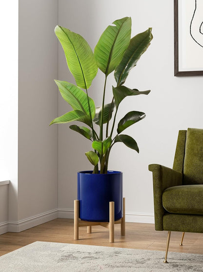 LE TAUCI 12 Inch Pots for Plants, Ceramic Large Plant Pot for Indoor Plants, Mid-Century Modern