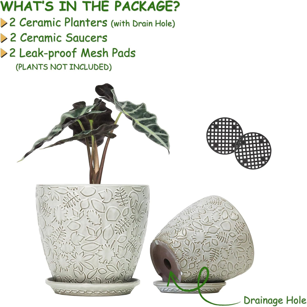 8 Inch + 6 Inch Retro Ceramic Planter Set of 2 with Drainage Hole and Saucer for Multiple Plants