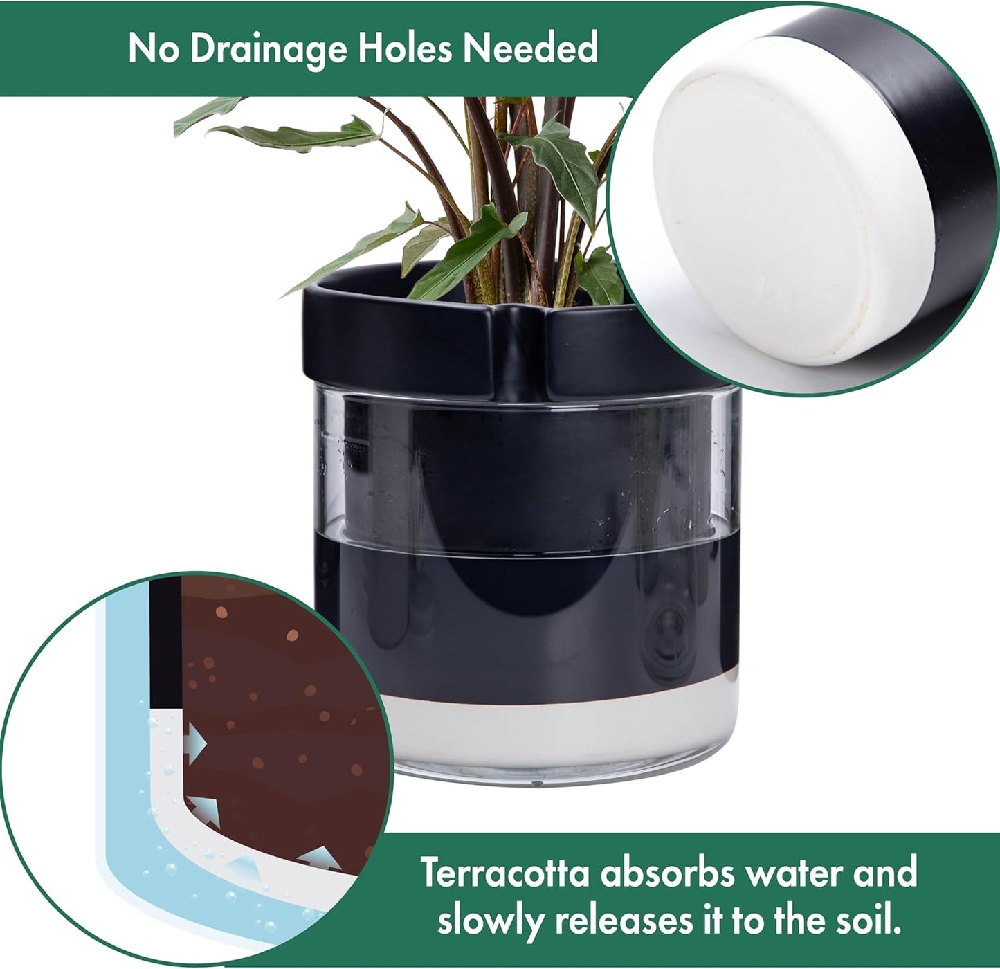 Phoenix Vine 8 Inch Self Watering Terracotta Planter, Black Terracotta Clay Pot with Glass