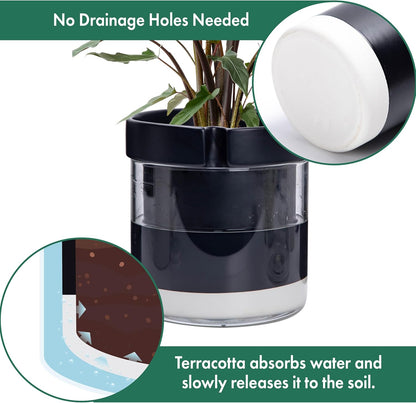 Phoenix Vine 8 Inch Self Watering Terracotta Planter, Black Terracotta Clay Pot with Glass