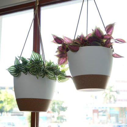 8 inch Hanging Planters, 2 Pack Self Watering Hanging Pots with 20oZ Deep Reservoir for Indoor