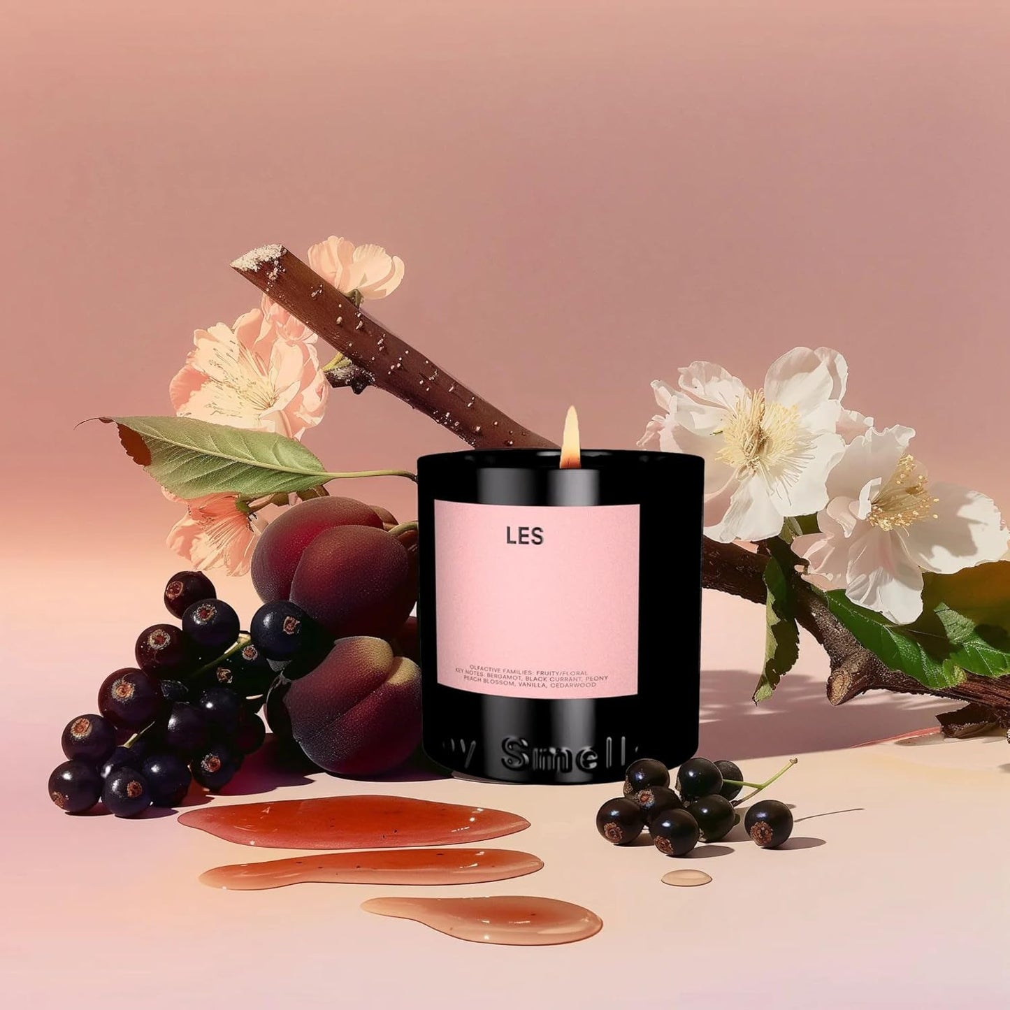 Boy Smells Les Scented Candle for Men and Women, Coconut, Beeswax, & Soy Candle Blend, Aromatherapy