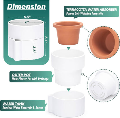 Phoenix Vine 6.5 Inch Self-Watering Planter Pot with Terracotta Insert, Deep Water Reservoir, and