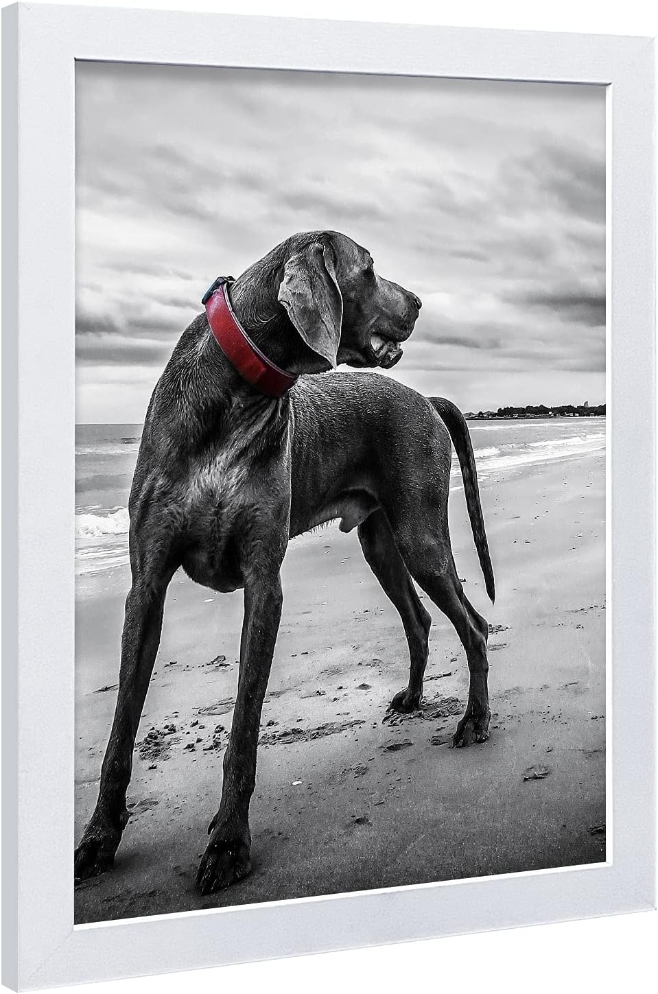 VCK 18x24 Poster Frames 3 Pack White MDF Wood and Polished Plexiglass Frame,Display Pictures in