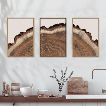 HPINUB Tree Rings Wood Wall Art Framed Set, Modern Beige Wood Stump Wall Decor, Abstract Tree