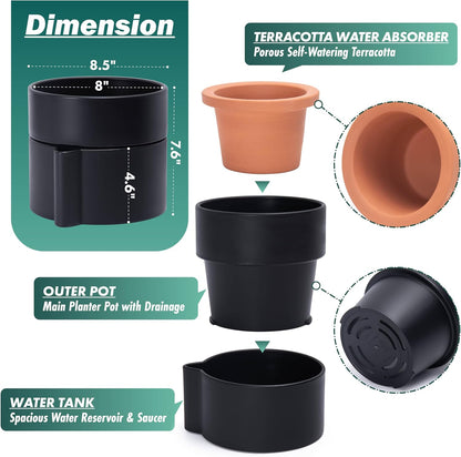 Phoenix Vine 8 Inch Self-Watering Planter Pot with Terracotta Insert, Deep Water Reservoir, and