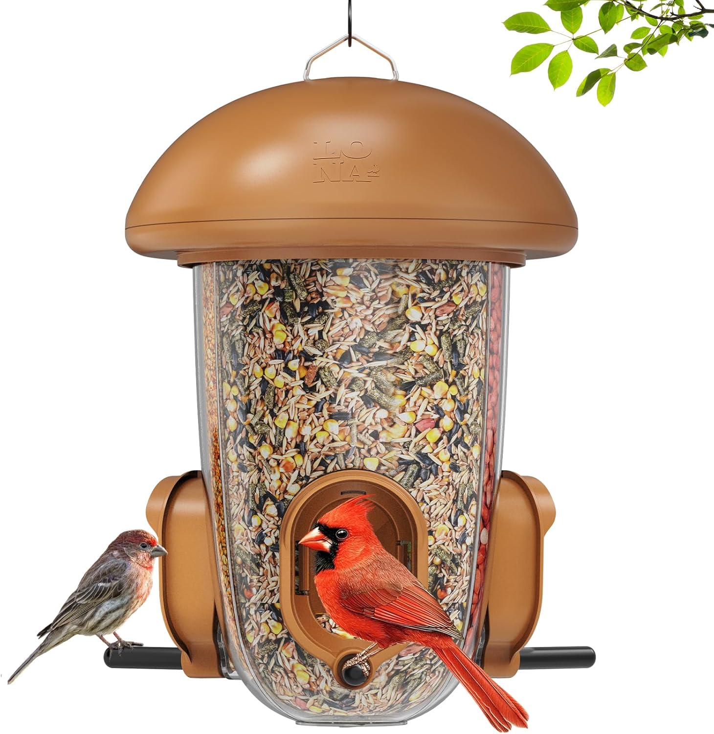 LONA Bird Feeders for Outdoors Hanging – 3 Separate Compartments, 3 Feeding Ports, Weatherproof