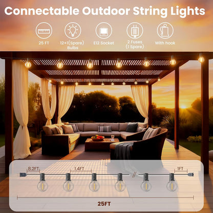 RTTY Outdoor String Lights 25 FT, G40 Led Patio Globe Lights with 13pcs Bulbs,Waterproof