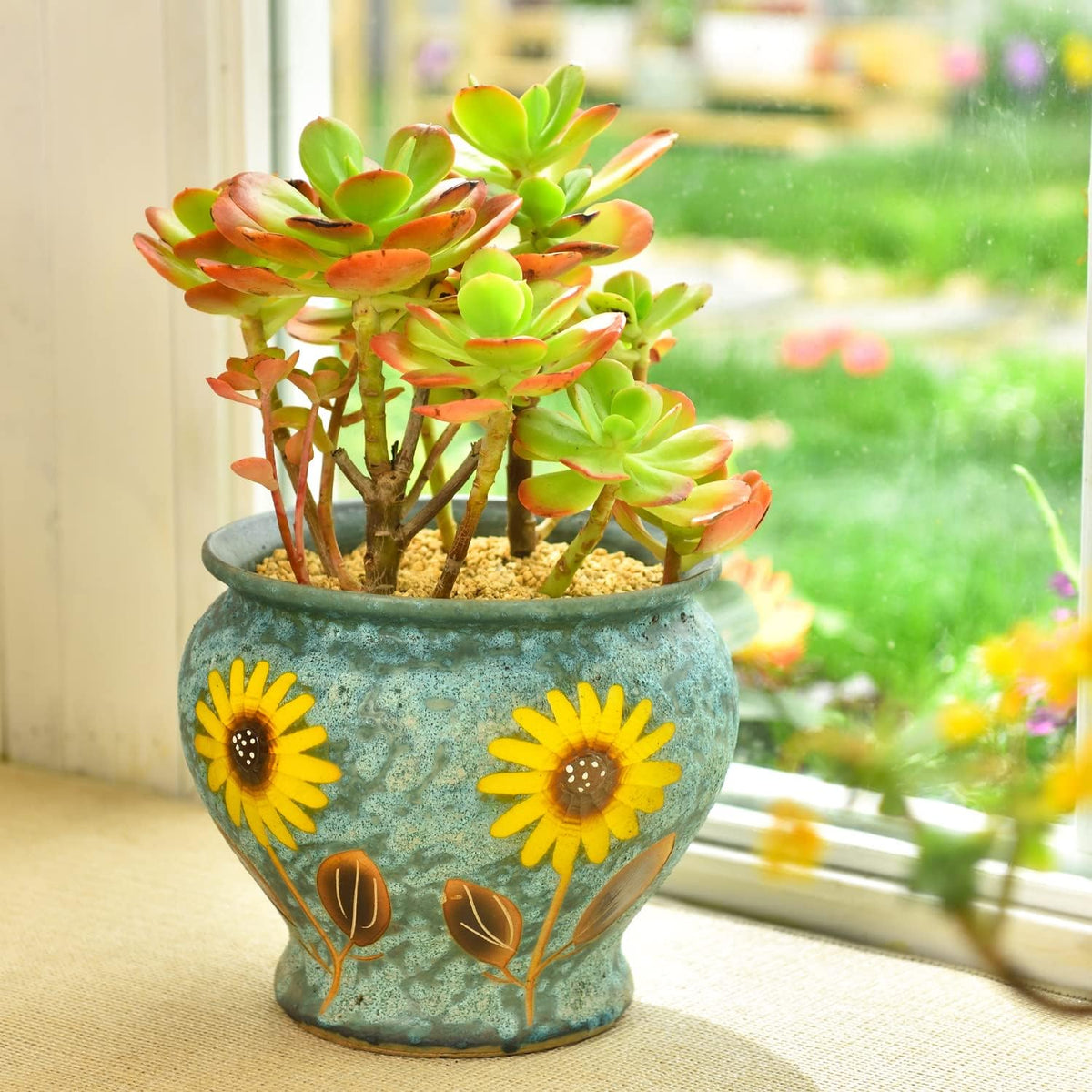 Sungmor Ceramic Hand Painted Succulent Flower Pots, 9 Inch Large Pottery Pots for Indoor Outdoor