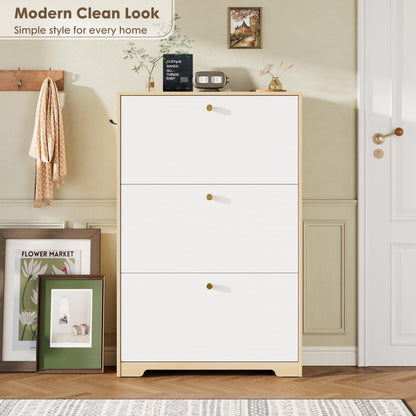 Nicetree Shoe Storage Cabinet for Entryway, Modern Shoe Cabinet, Freestanding Shoe Rack Cabinet