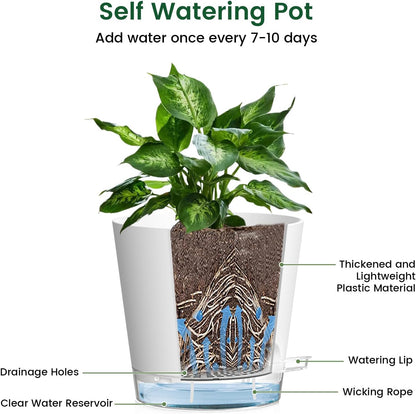 6 inch Self Watering Pots for Indoor Outdoor Plants, 6 Pack Flower Plant Pots with Drainage Holes