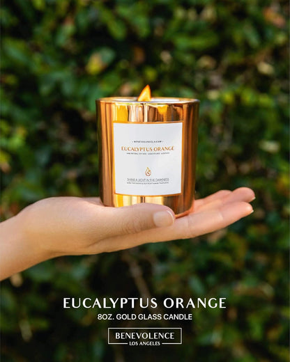 Benevolence LA Eucalyptus Orange Wood Wick Candles | Soy Scented Candles for Home | Gifts for Women