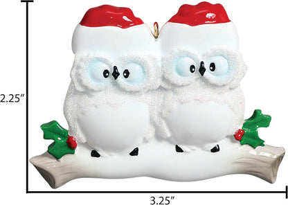 3D Personalized Our First Christmas Ornament 2025 | Custom Owl Couple Ornaments Winter White Owls