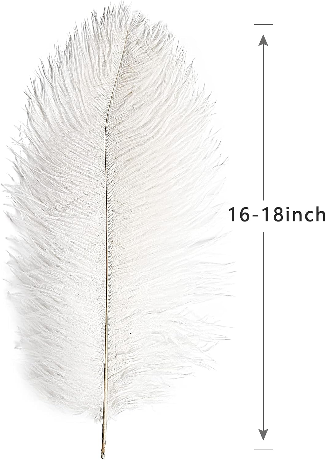 THARAHT 12pcs White Ostrich Feathers Natural Bulk 16-18Inch 40cm-45cm for Wedding Party