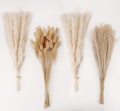 Natural Dried Pampas Grass Decor, White Pampas Grass， Bunny Tails Dried Flowers, Reed Grass Bouquet