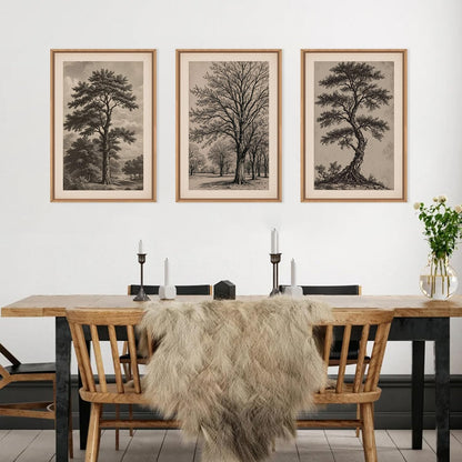 HPINUB Vintage Sketch Tree Framed Canvas Wall Art Set,Modern Nature Botanical Wall Decor, Antique