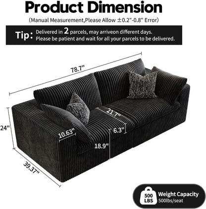 LoveSeat Cloud Couch Modular Sectional Sofa for Living Room,Modern Sofa with Deep Seat，2 Seater