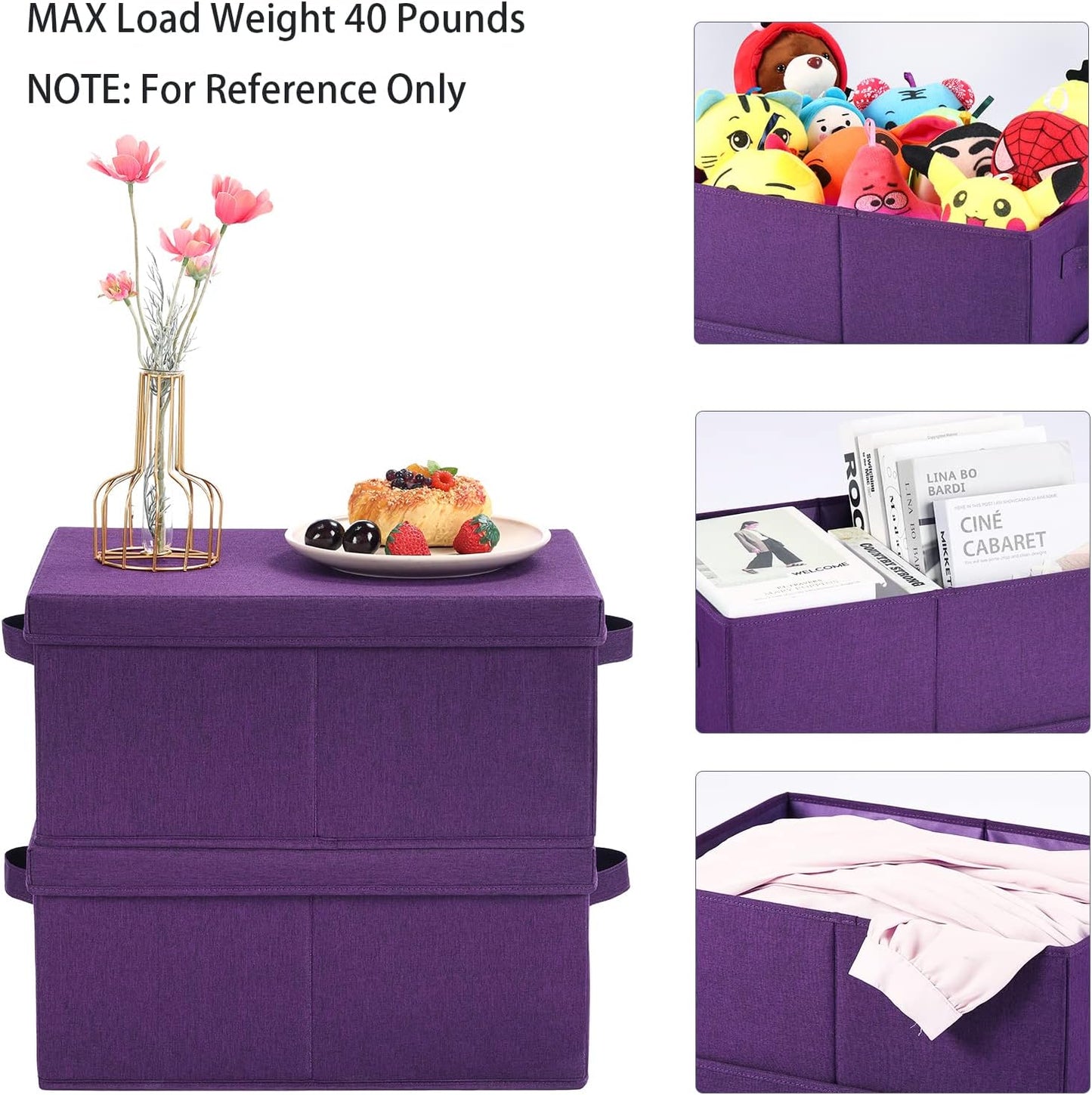 HOONEX Storage Bins with Lids for Organizing, Pack of 2, Storage Boxes with 2 Carry Handles and