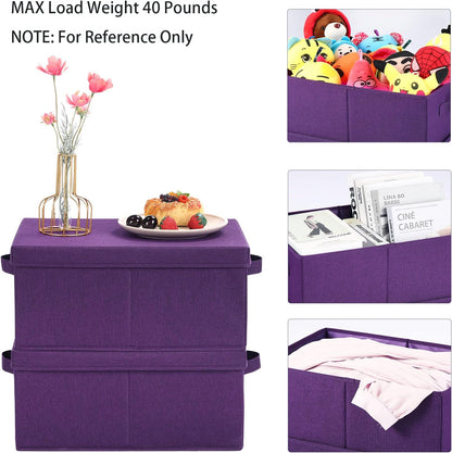 HOONEX Storage Bins with Lids for Organizing, Pack of 2, Storage Boxes with 2 Carry Handles and