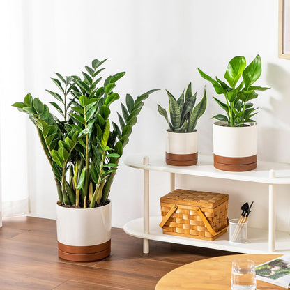 vancasso Ceramic Pots for Plants, Plant Pots for Indoor Plants, 6.25+8.25+10.25 Inch Ceramic