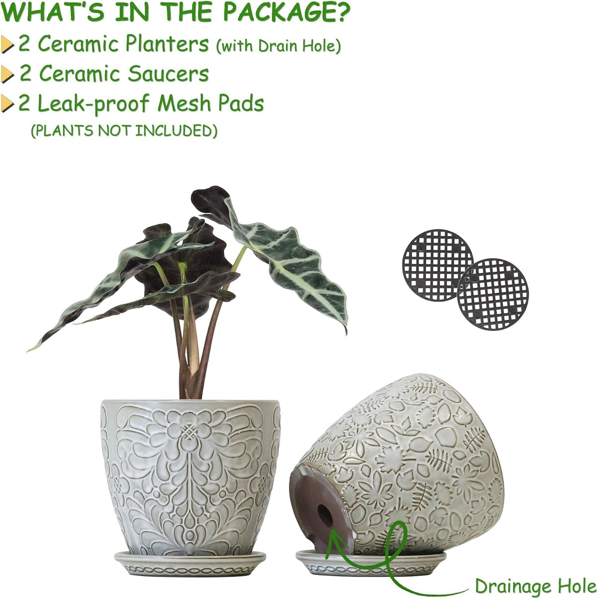 6 Inch Ceramic Planter Pots with Drainage Hole and Saucers for Indoor Plants, Garden Pots for