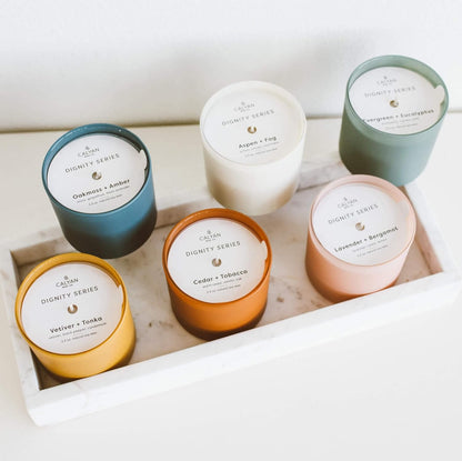 Calyan Wax Co. Scented Candle Gift Set, The Dignity Series Set of 6 Aromatherapy Soy Candles, Non