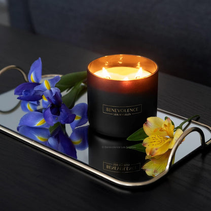Benevolence LA 3 Wick Candle, Bergamot & Jasmine Large Scented Candle | Soy Candles | Gifts for