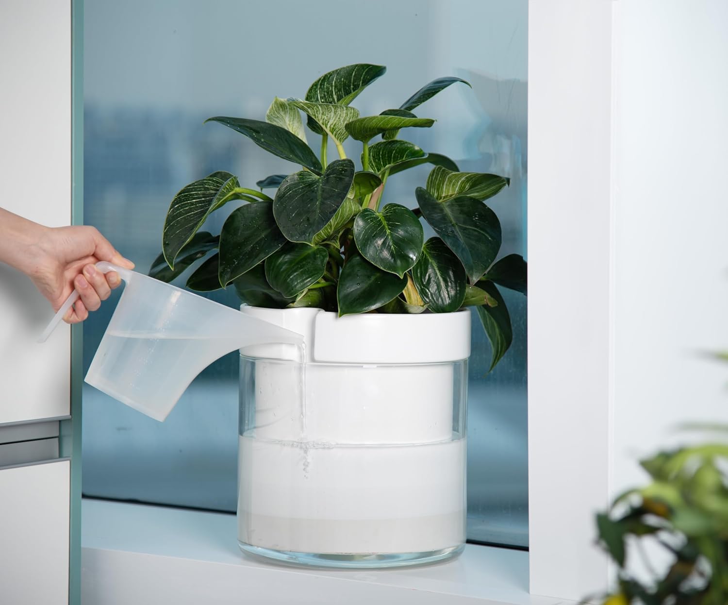 Phoenix Vine 10 Inch Self Watering Planter, White Terracotta Clay Pot with Glass Reservoir for