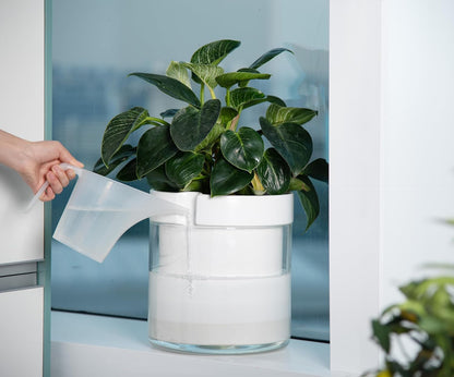 Phoenix Vine 10 Inch Self Watering Planter, White Terracotta Clay Pot with Glass Reservoir for