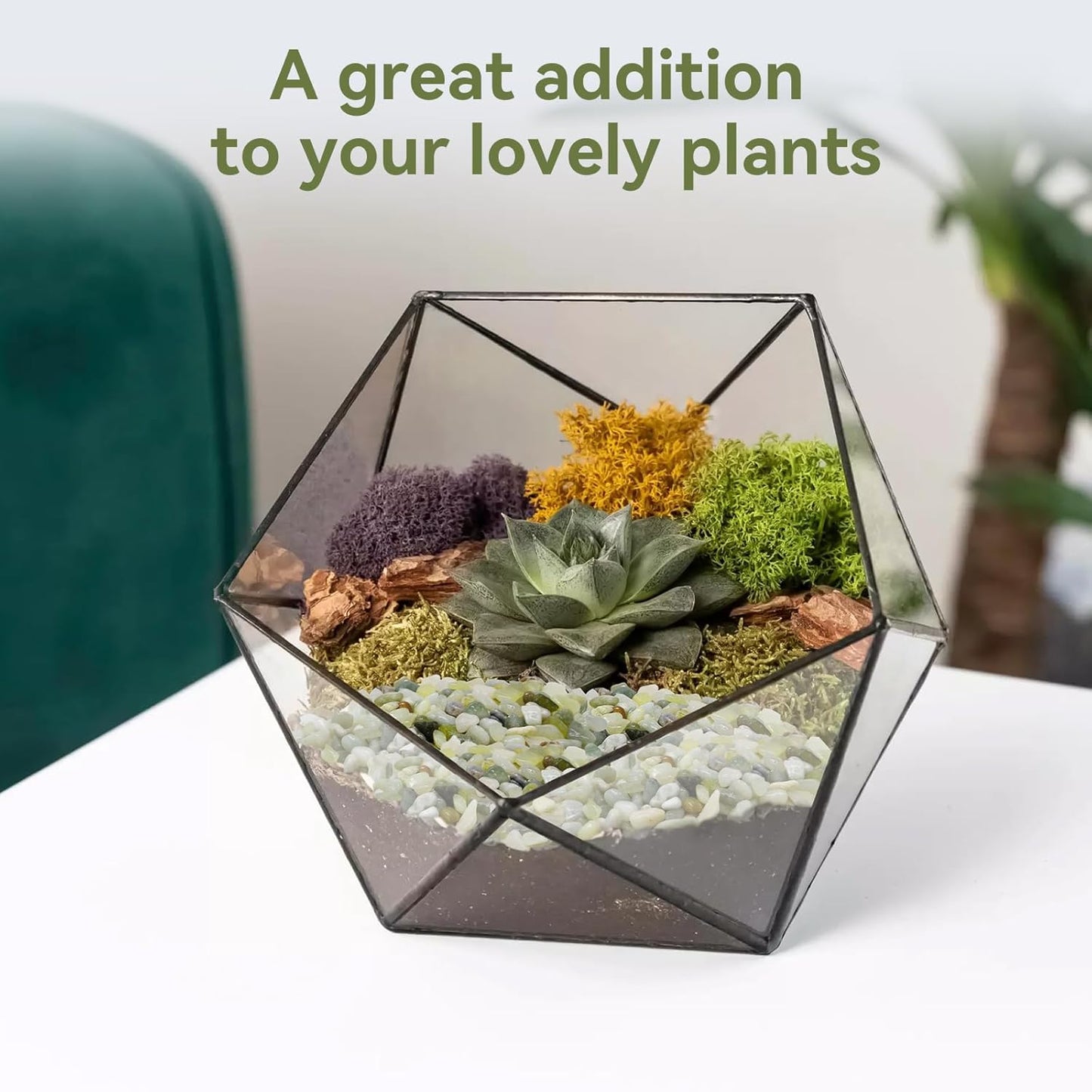 5LB Succulent and Cactus Pebbles, 1/5 Inch Jade Pebbles for Indoor Plants, Decorative Gravel for