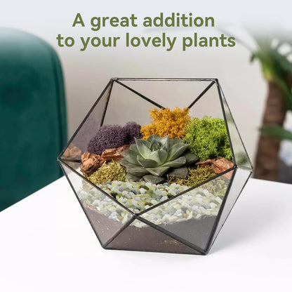 5LB Succulent and Cactus Pebbles, 1/5 Inch Jade Pebbles for Indoor Plants, Decorative Gravel for