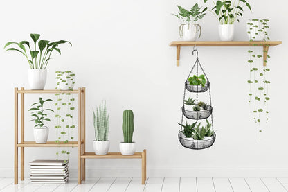 CAXXA 3-Tier Hanging Basket Fruit Organizer Kitchen Heavy Duty Wire Organizer with 2 Free Bonus