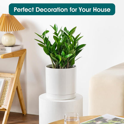 vancasso Ceramic Plant Pots, 8.25 Inch Ceramic Pot for Plants, Planters Pots for Indoor Plants with