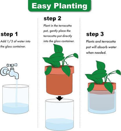 Phoenix Vine 4 Inch 6 Inch Self Watering Planter Pots, Terracotta Clay Pots with Glass Reservoir