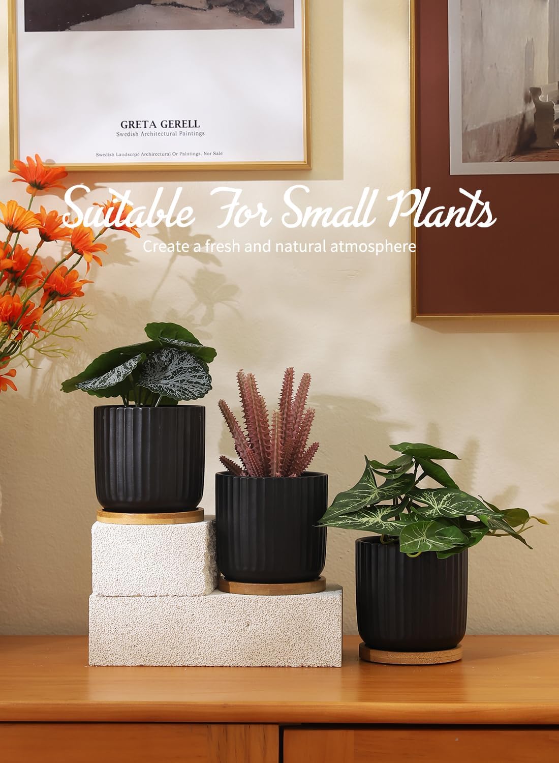 TAMAYKIM 4 Inch Small Cylinder Ceramic Plant Pots with Drainage Holes, Modern Indoor Planters with