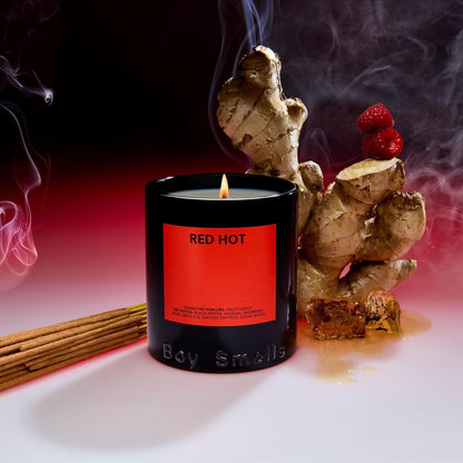 Boy Smells - Ash Scented Candles for Men and Women - 8.5 oz - Soy, Coconut Wax Candle Blend