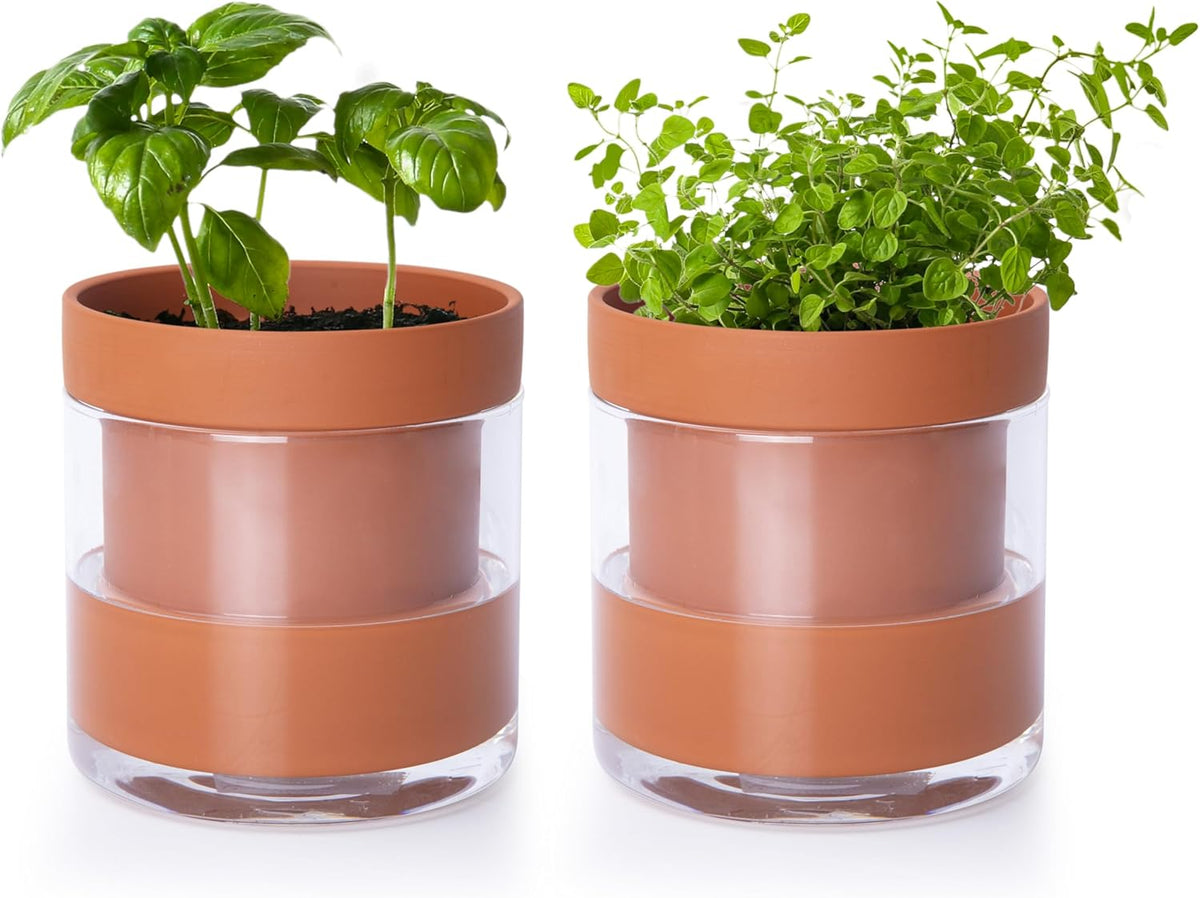 Phoenix Vine 4 Inch Self Watering Planter Pot, Terracotta Clay Pot with Glass Reservoir for Indoor