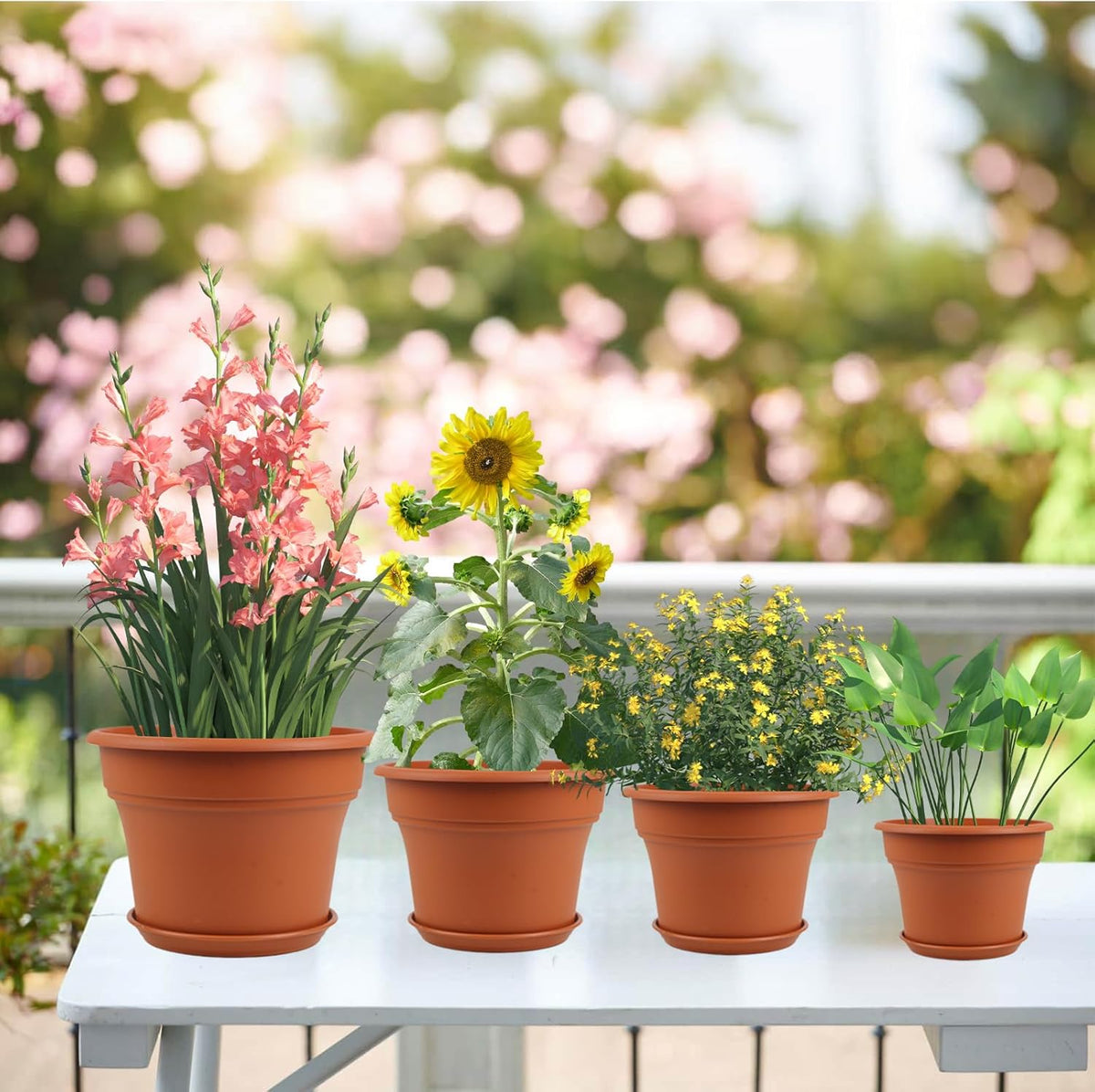 6 Inch Plastic-Flower Pot-for-Indoor Plants, 6 Pack Outdoor Plant Pots with Drainage Holes &